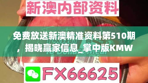 免費(fèi)放送新澳精準(zhǔn)資料第510期，揭曉贏家信息_掌中版KMW387.73