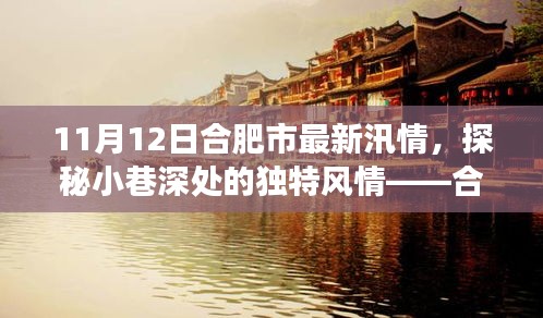 合肥汛情下的隱秘美食天堂探秘，小巷風(fēng)情與美食之旅