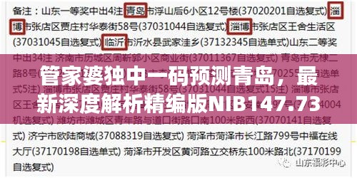 管家婆獨中一碼預(yù)測青島，最新深度解析精編版NIB147.73