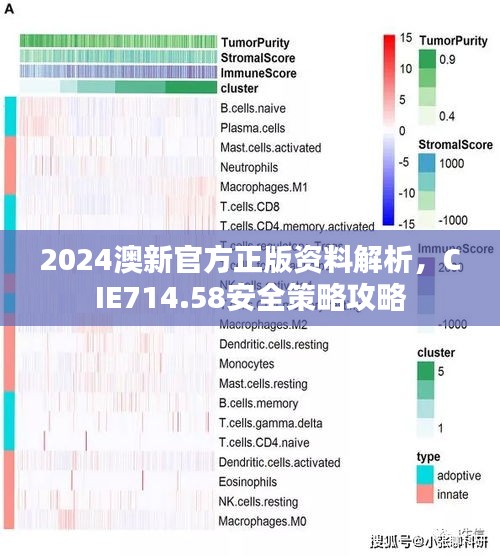 2024澳新官方正版資料解析，CIE714.58安全策略攻略