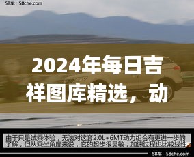 2024年每日吉祥圖庫精選，動態(tài)解讀_SXR232.69遺憾缺席