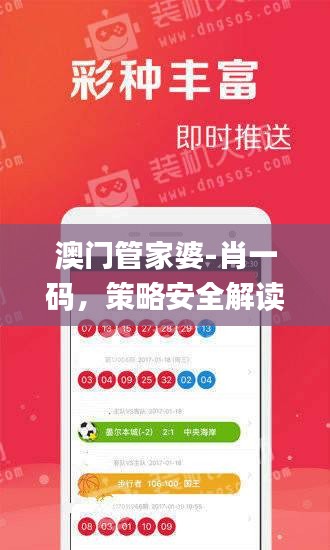 澳門管家婆-肖一碼，策略安全解讀_入門版YWM983.01