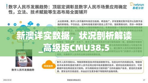 新澳詳實(shí)數(shù)據(jù)，狀況剖析解讀_高級(jí)版CMU38.5