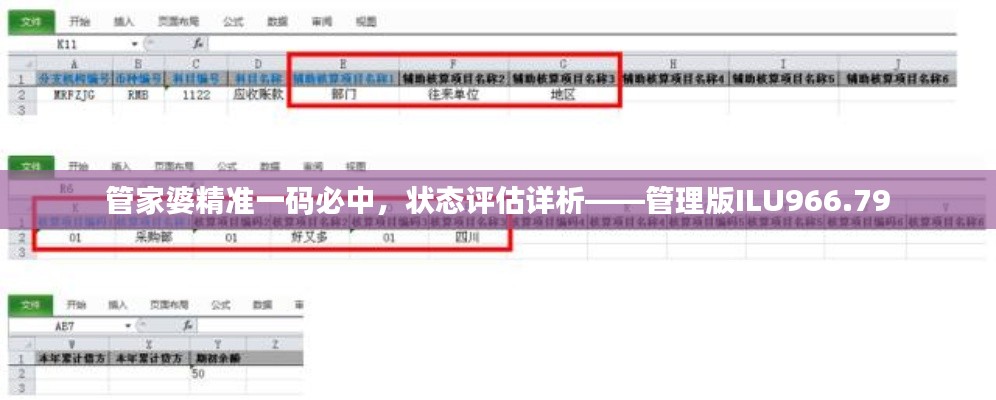 管家婆精準(zhǔn)一碼必中，狀態(tài)評(píng)估詳析——管理版ILU966.79