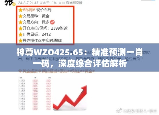神尊WZO425.65：精準(zhǔn)預(yù)測(cè)一肖一碼，深度綜合評(píng)估解析