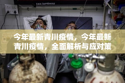 今年最新青川疫情全面解析與應(yīng)對策略，全面關(guān)注，科學(xué)防控