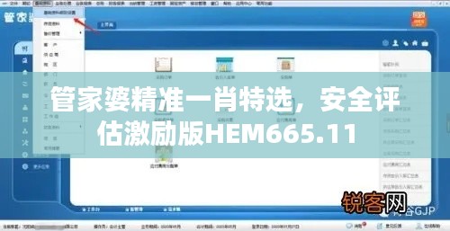 管家婆精準(zhǔn)一肖特選，安全評估激勵版HEM665.11