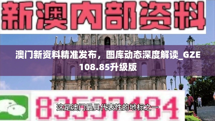 澳門新資料精準發(fā)布，圖庫動態(tài)深度解讀_GZE108.85升級版