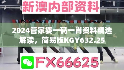 2024管家婆一碼一肖資料精選解讀，簡易版KGY632.25