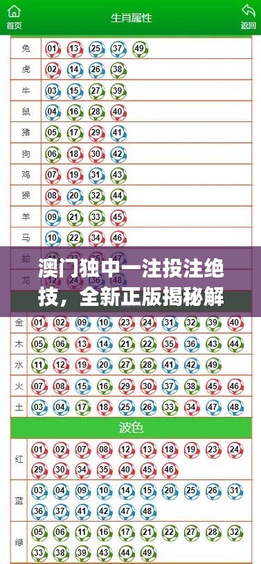 澳門獨中一注投注絕技，全新正版揭秘解析_GBL206.5通用版