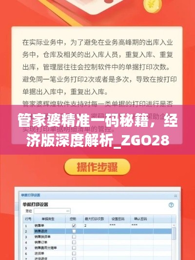 管家婆精準一碼秘籍，經(jīng)濟版深度解析_ZGO289.56