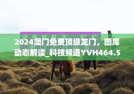 2024澳門免費頂級龍門，圖庫動態(tài)解讀_科技頻道YVH464.54