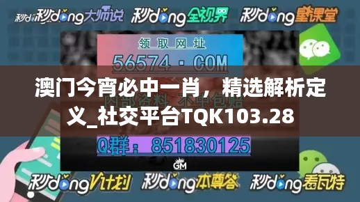 澳門(mén)今宵必中一肖，精選解析定義_社交平臺(tái)TQK103.28