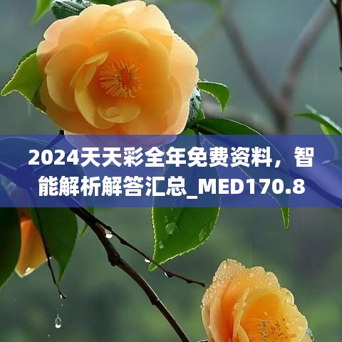 2024天天彩全年免費資料，智能解析解答匯總_MED170.88版