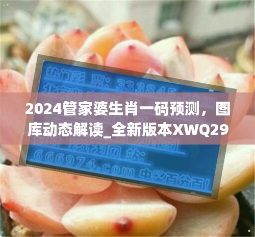 2024管家婆生肖一碼預測，圖庫動態(tài)解讀_全新版本XWQ290.47