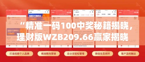 “精準(zhǔn)一碼100中獎秘籍揭曉，理財版WZB209.66贏家揭曉”