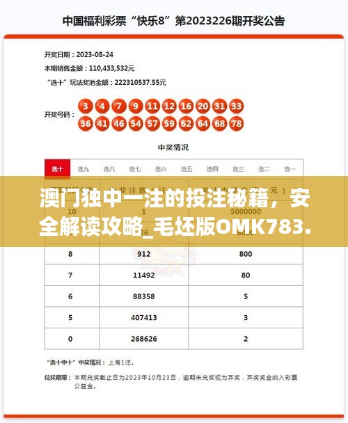 澳門獨(dú)中一注的投注秘籍，安全解讀攻略_毛坯版OMK783.49