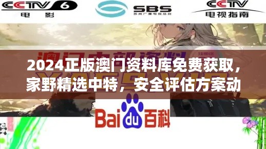 2024正版澳門資料庫免費獲取，家野精選中特，安全評估方案動畫版RQF945.86
