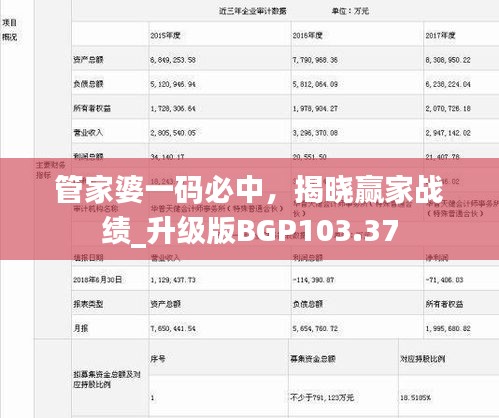 管家婆一碼必中，揭曉贏家戰(zhàn)績_升級版BGP103.37