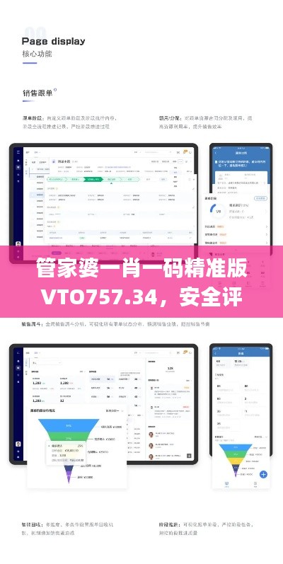 管家婆一肖一碼精準版VTO757.34，安全評估策略方案_尊享付費版