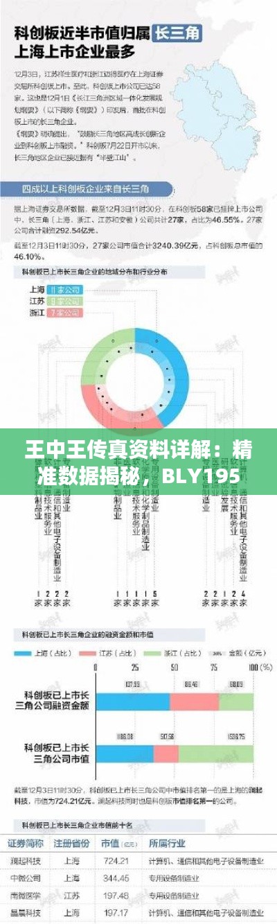 王中王傳真資料詳解：精準(zhǔn)數(shù)據(jù)揭秘，BLY195.25珍貴版