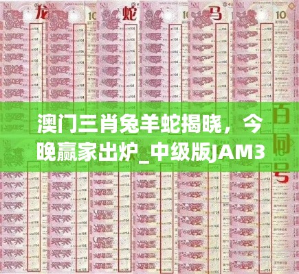 澳門(mén)三肖兔羊蛇揭曉，今晚贏(yíng)家出爐_中級(jí)版JAM324.11