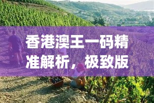 香港澳王一碼精準(zhǔn)解析，極致版圖庫動(dòng)態(tài)賞析_BEG295.41