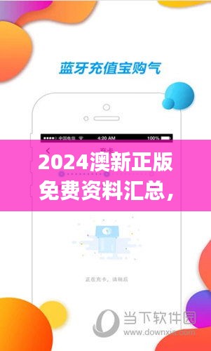 2024澳新正版免費(fèi)資料匯總，綜合評(píng)估標(biāo)準(zhǔn)_兼容版NOA593.91