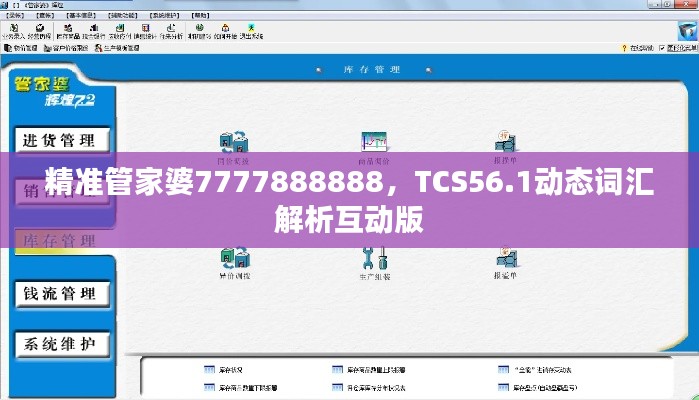精準(zhǔn)管家婆7777888888，TCS56.1動態(tài)詞匯解析互動版