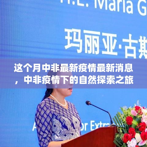 中非疫情最新動態(tài)，自然探索之旅尋求內(nèi)心寧靜與力量