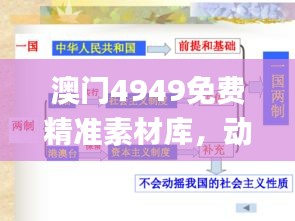 澳門4949免費精準素材庫，動態(tài)方案解析_編程版ETB953.74