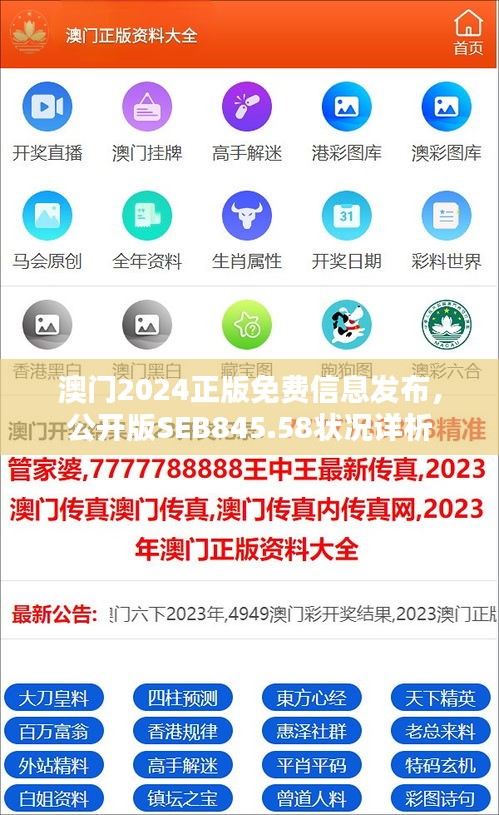 澳門2024正版免費信息發(fā)布，公開版SEB845.58狀況詳析
