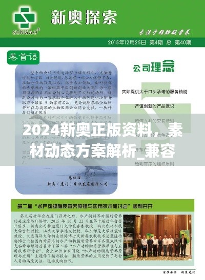 2024新奧正版資料，素材動(dòng)態(tài)方案解析_兼容LIM991.65版本