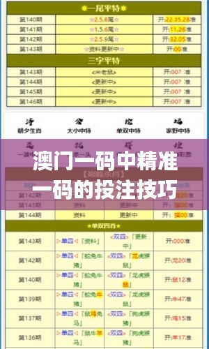 澳門一碼中精準(zhǔn)一碼的投注技巧,安全解析策略_備用版CNF519.18