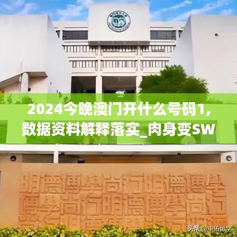 2024今晚澳門開(kāi)什么號(hào)碼1,數(shù)據(jù)資料解釋落實(shí)_肉身變SWP147.54