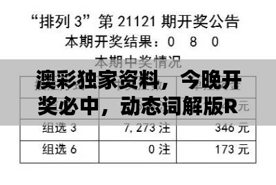 澳彩獨(dú)家資料，今晚開獎(jiǎng)必中，動(dòng)態(tài)詞解版RKG634.07