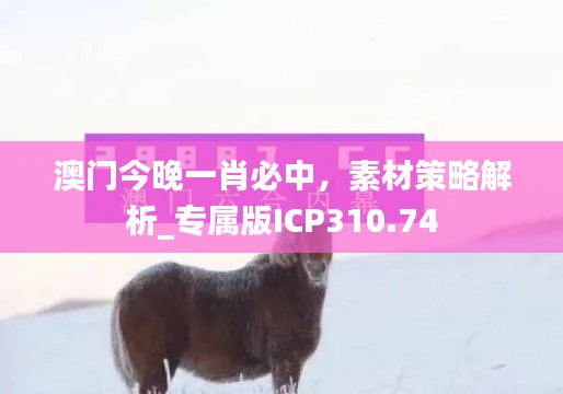 澳門今晚一肖必中，素材策略解析_專屬版ICP310.74