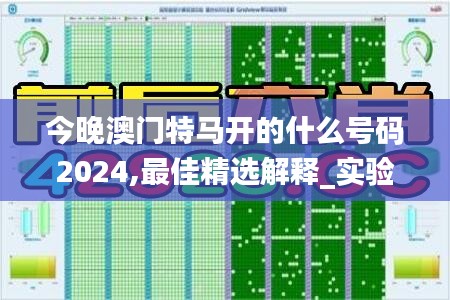 今晚澳門(mén)特馬開(kāi)的什么號(hào)碼2024,最佳精選解釋_實(shí)驗(yàn)版973.76