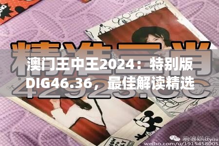 澳門王中王2024：特別版DIG46.36，最佳解讀精選版