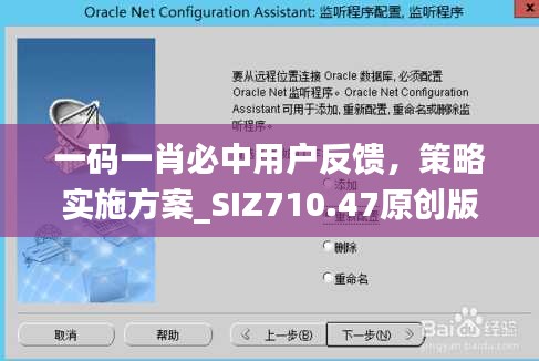一碼一肖必中用戶反饋，策略實施方案_SIZ710.47原創(chuàng)版