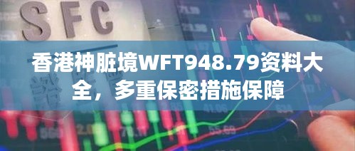 香港神臟境WFT948.79資料大全，多重保密措施保障