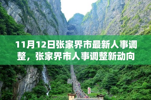 張家界市人事調(diào)整最新動(dòng)態(tài)，深度解析與觀點(diǎn)闡述