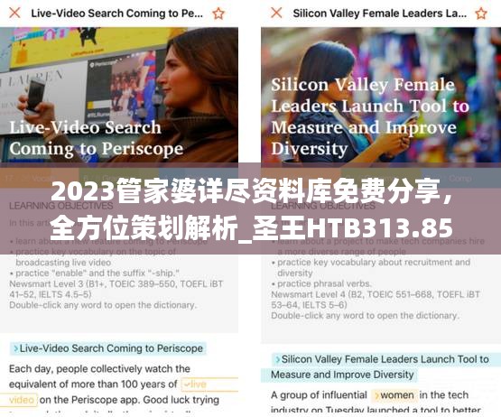 2023管家婆詳盡資料庫免費(fèi)分享，全方位策劃解析_圣王HTB313.85