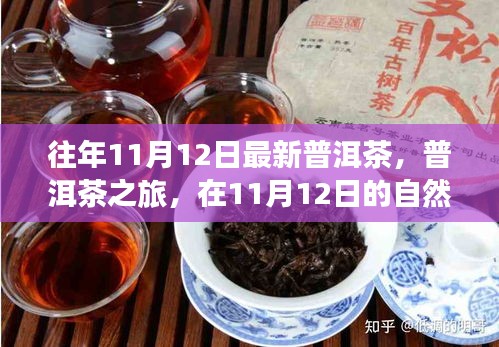 普洱茶之旅，在11月12日的自然懷抱中品味靜心之茶，探尋最新普洱茶的魅力