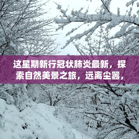 疫情下的別樣旅行體驗，探索自然美景，遠離塵囂尋求內心平靜的新行冠狀肺炎時代之旅