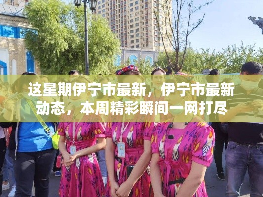 本周伊寧市最新動(dòng)態(tài)全景呈現(xiàn)，精彩瞬間一網(wǎng)打盡