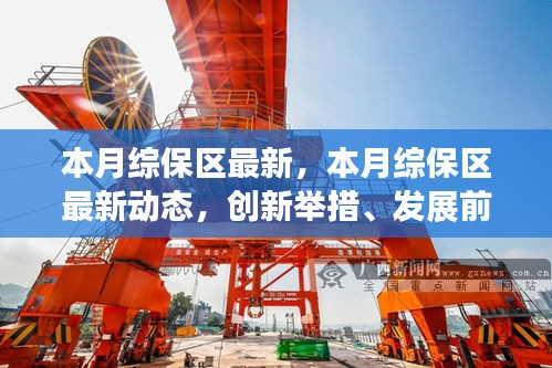 本月綜保區(qū)最新動態(tài)及創(chuàng)新舉措，前沿發(fā)展與案例深度剖析