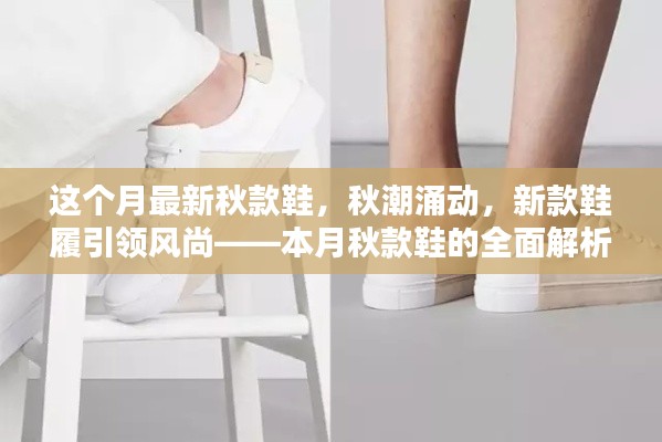 本月秋潮時(shí)尚引領(lǐng)者，新款鞋履引領(lǐng)風(fēng)尚的全面解析