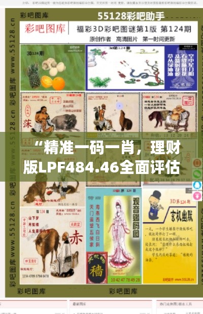 “精準(zhǔn)一碼一肖，理財(cái)版LPF484.46全面評估”