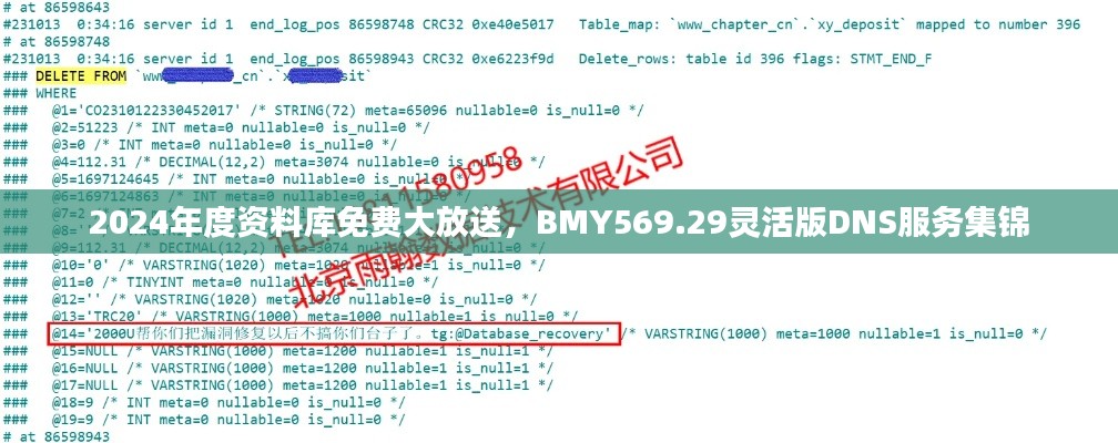 2024年度資料庫免費大放送，BMY569.29靈活版DNS服務集錦